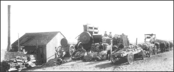 Picture of ore being delivered to stamp mill